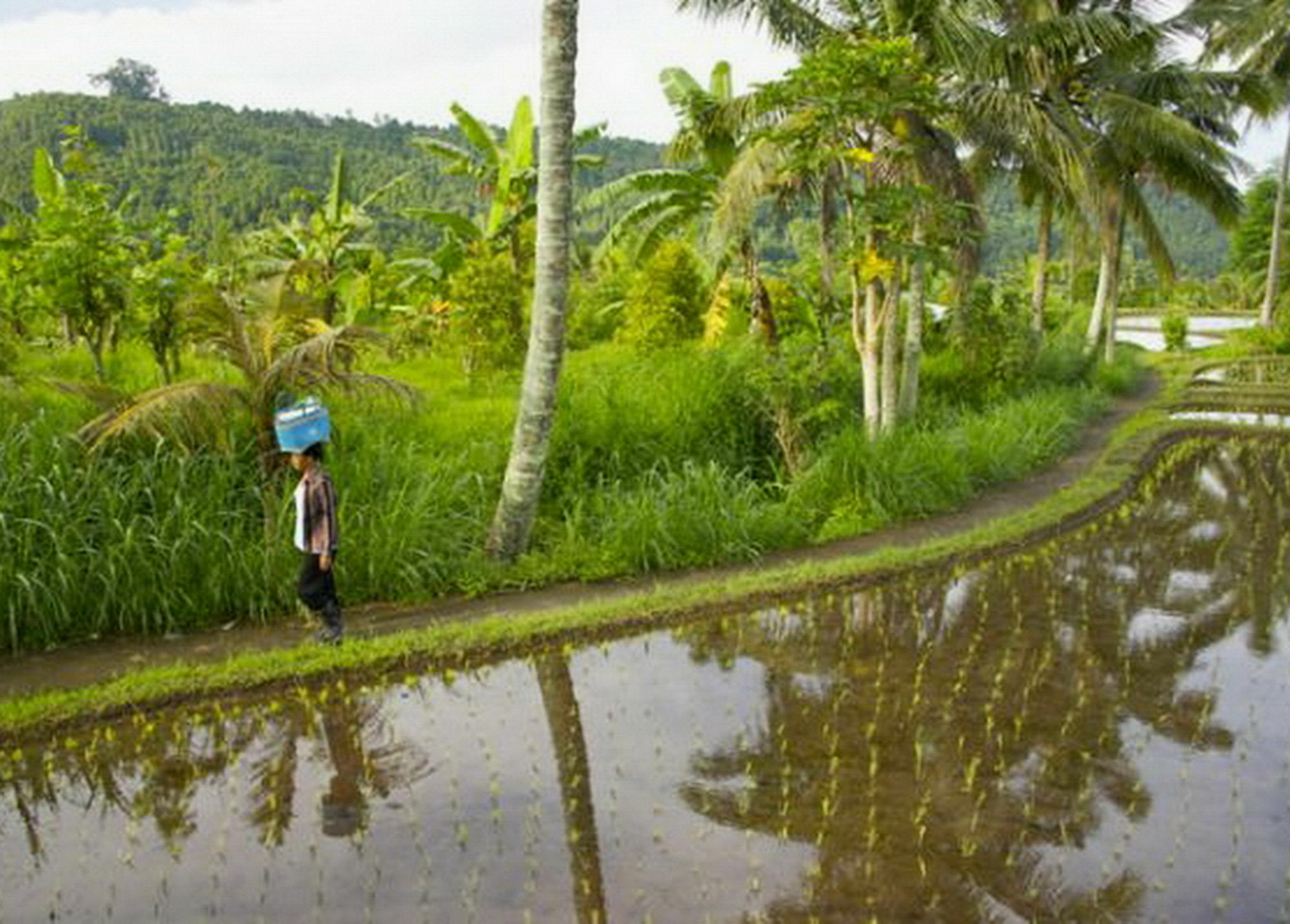 Karang Sari Guesthouse & Warung Munduk  Bagian luar foto