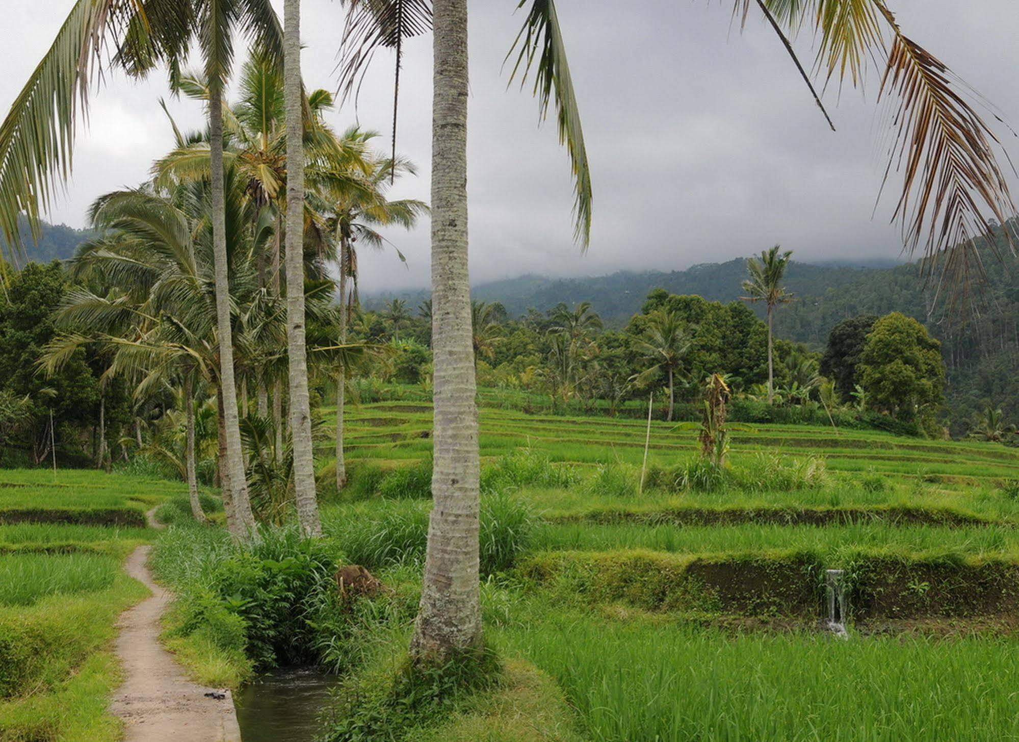 Karang Sari Guesthouse & Warung Munduk  Bagian luar foto